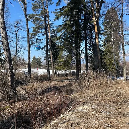 Ski-in Flat Next To Road At Mountain View 班斯科