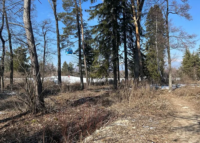 Ski-in Flat Next To Road At Mountain View Bansko