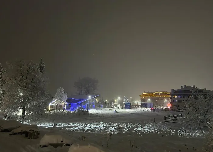 Ski-in Flat Next To Road At Mountain View Apartment