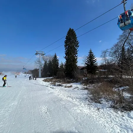 Apartament Ski-in Flat Next To Road At Mountain View *