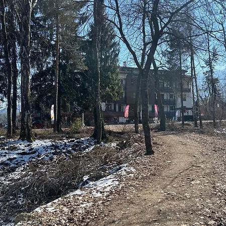 Apartament Ski-in Flat Next To Road At Mountain View