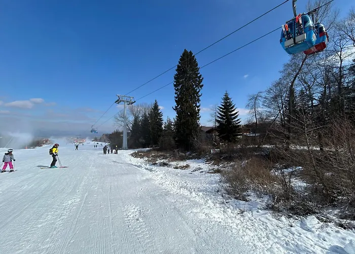 公寓 Ski-in Flat Next To Road At Mountain View *