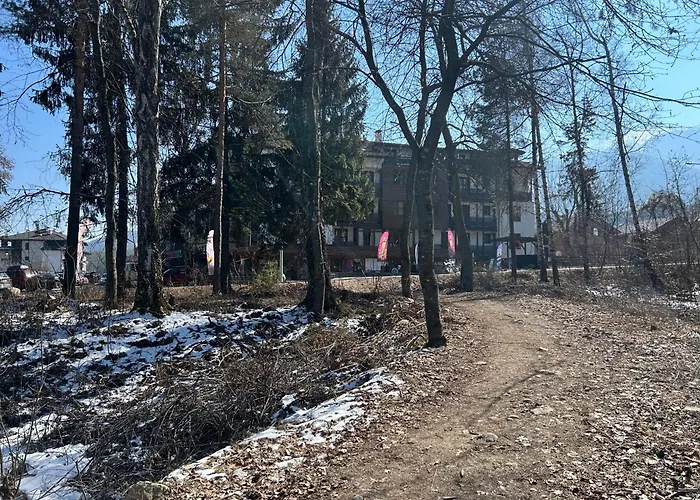 公寓 Ski-in Flat Next To Road At Mountain View